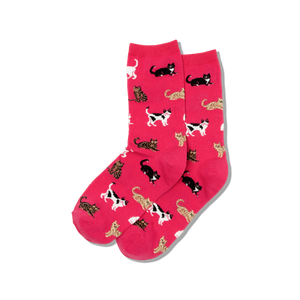 HOTSOX women's red cat socks featuring orange cats, tuxedo cats and calicos.