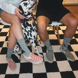 A person and a Dalmatian dog sitting on chairs indoors, wearing gray patterned crew socks and slip-on shoes. The person on the left wears red-and-white checkered shoes and the person on the right wears black-and-white checkered shoes. thumbnail