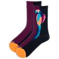 A pair of colorblock crew socks with a parrot design on a purple background, with the HOTSOX brand logo visible.