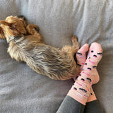 Woman wearing pink socks with a sushi pattern design and a small dog next to her feet.