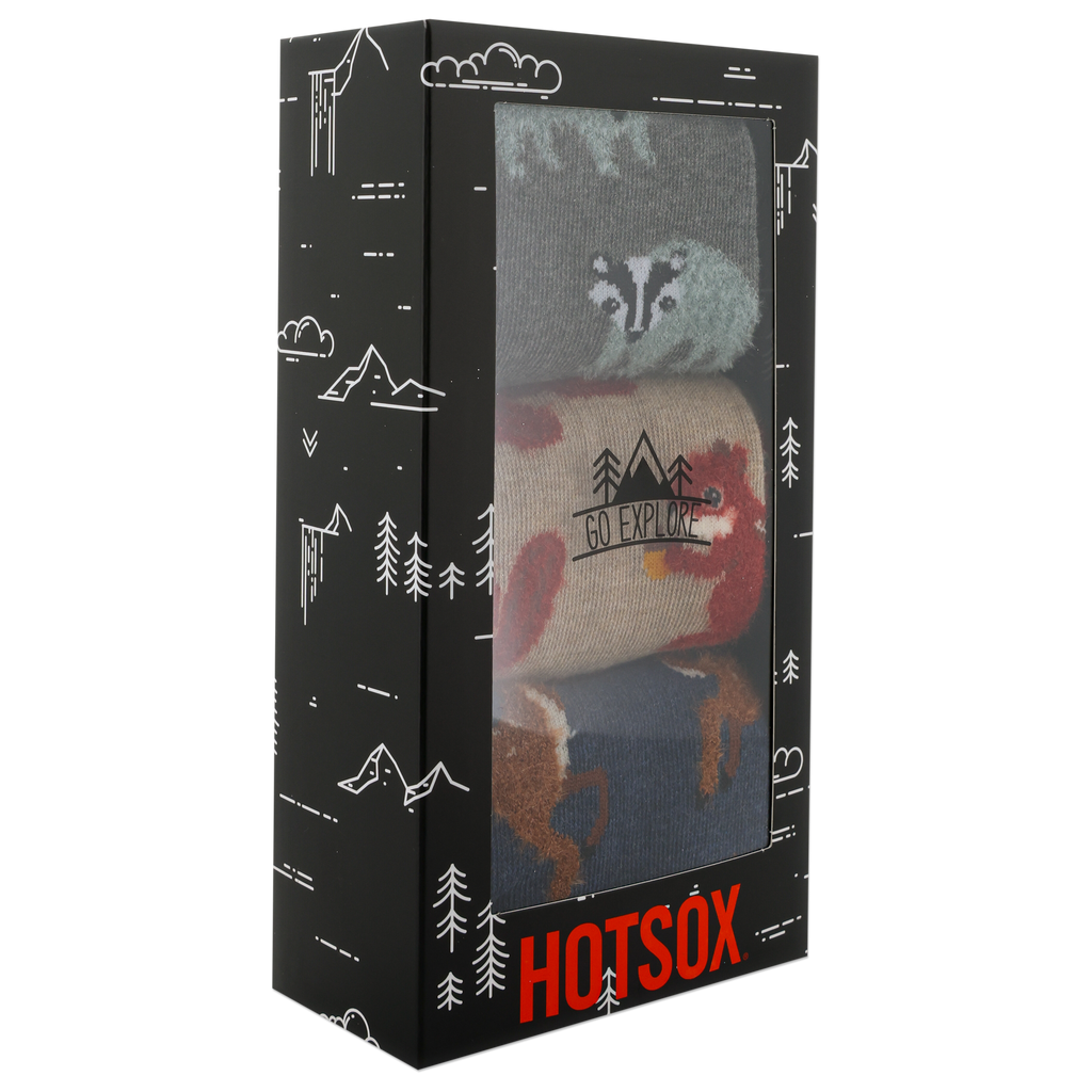 Box of HOTSOX socks with animal designs and 'Go Explore' text on a white background