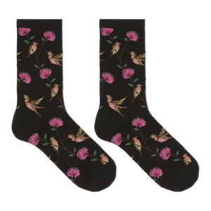 HOTSOX Women's Hummingbirds Crew Socks